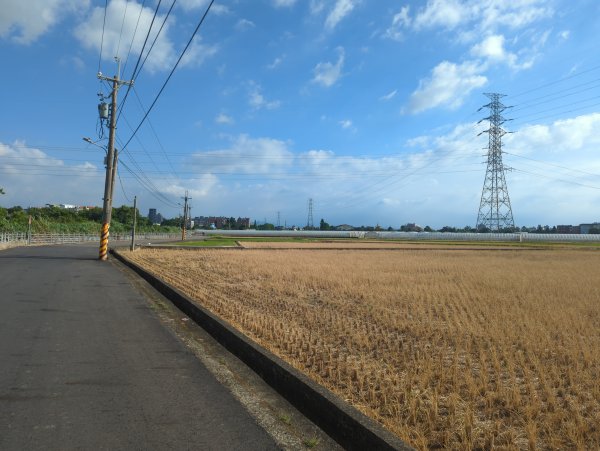 2025.08.24－霄裡好風光：霄裡~忠貞新村2868617