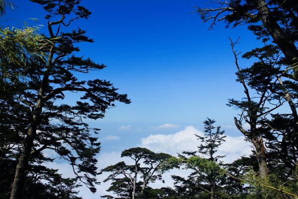 作伙來去北大武304400