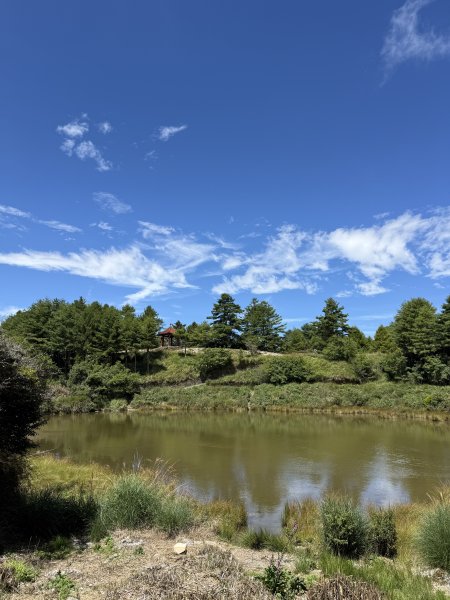 84稍來小雪山步道及天池神木11508183110067