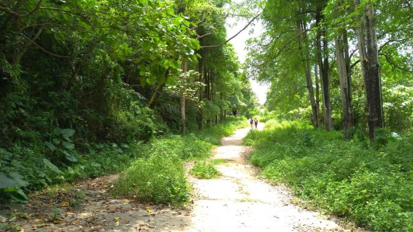 小百岳行~三汀山、碑頭山－女兒幸福陪伴632037