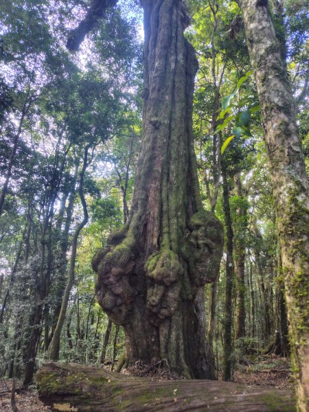 守關山南峰 守關山 守城大山2919171