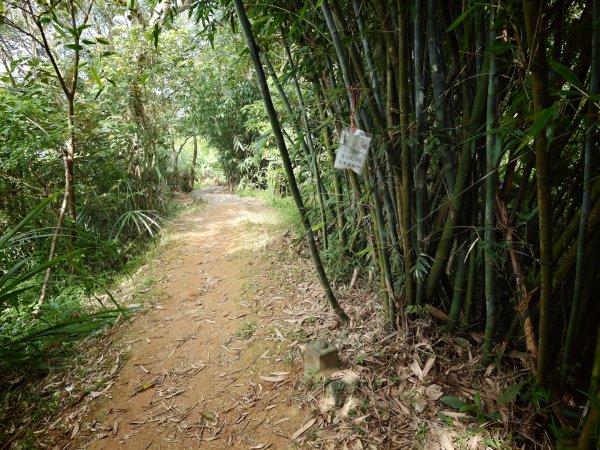 [淡蘭古道] 2026_0523 南路第一段_土地公嶺古道3069440