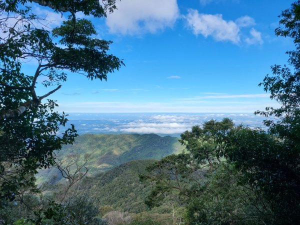 北得拉曼+內鳥嘴山賞山毛櫸1898399