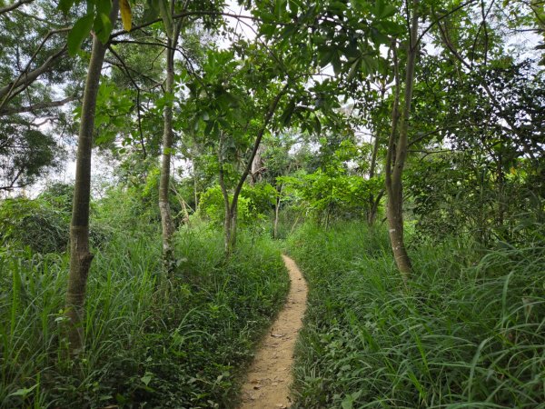 大社觀音山十三連峰環形2924407