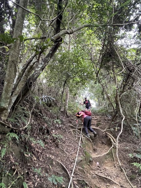 關西赤柯山+東獅頭山 O繞 202307262232676