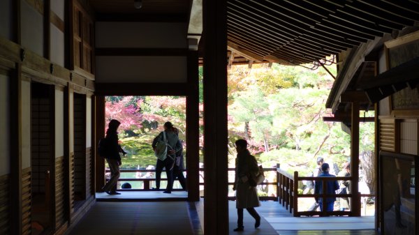 日本京都嵐山651941