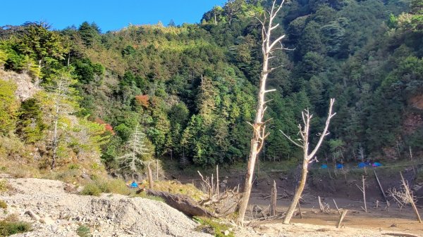 小關山林道上小關山1550011