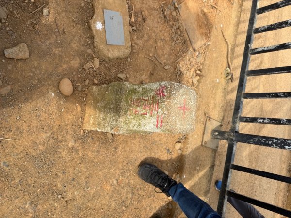 20260118 松柏坑山、田園茶香賞茶步道(小百岳-松柏坑山)2992835