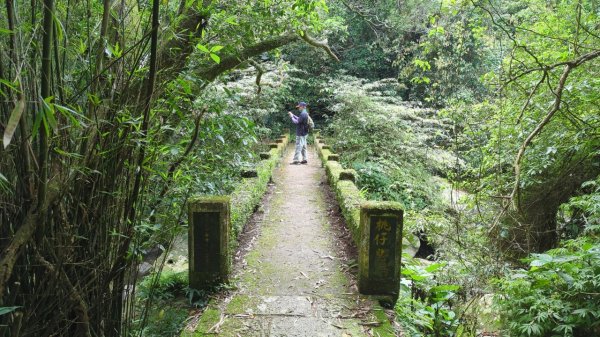 112.04.29走遍陽明山尋寶任務之坪頂古圳步道2137384