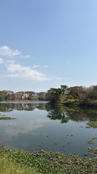 🚴‍♂️ 台南單車慢漫遊3003317