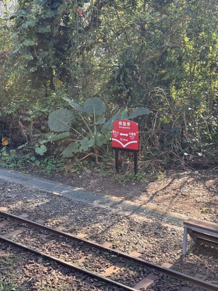 20251122獨立山國家步道+觀音石山+阿拔泉山2944226