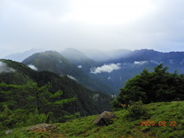 南投 信義 鹿林前山、鹿林山、麟趾山1079376