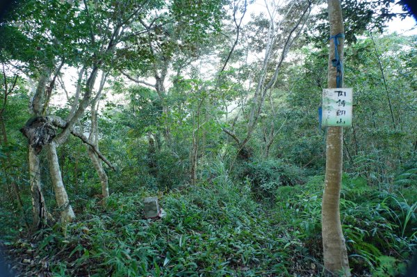 新北 三峽 內詩朗山、金平山2950912