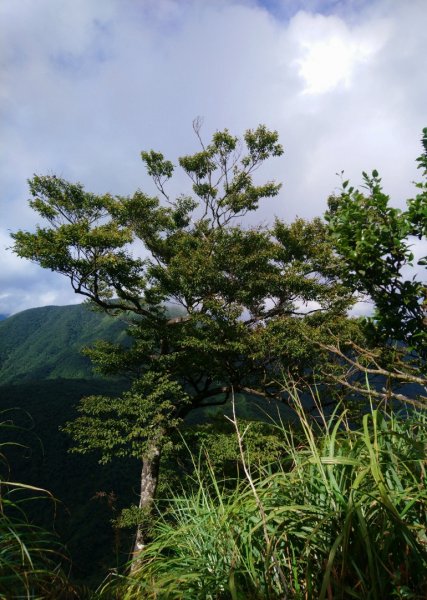 大白山、蘭崁山、新寮山1089181