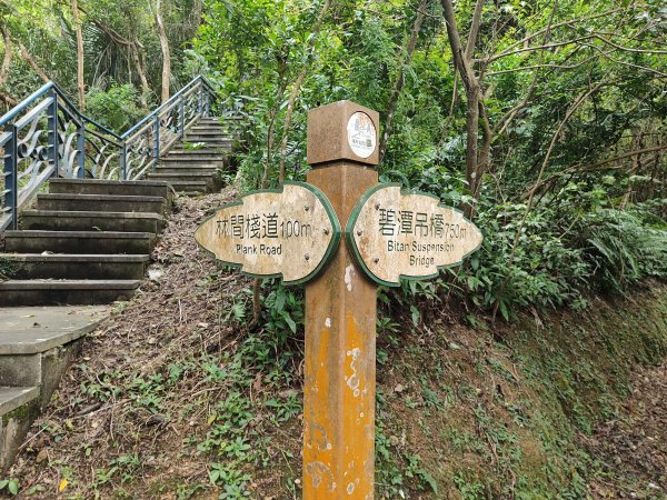 微笑山線：【二格山系】和美山螢火蟲段2834860