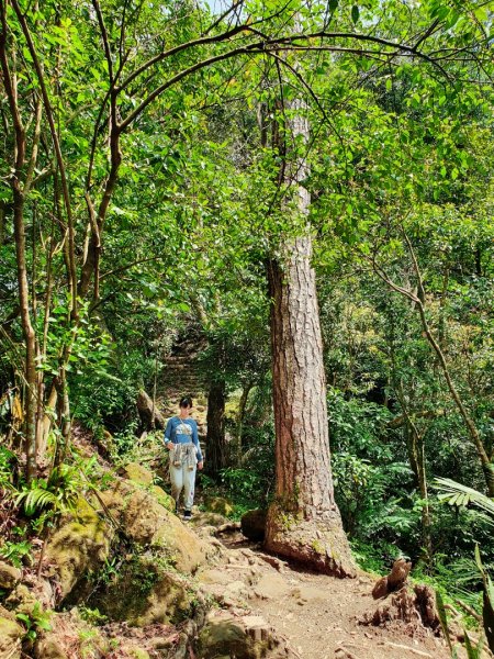 土城太極嶺，五城山，將軍嶺，文筆山，鶯歌石，牛灶坑山，龜公山，孫龍步道，二鬮山1654112