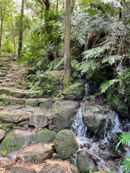 帕米爾公園1887086