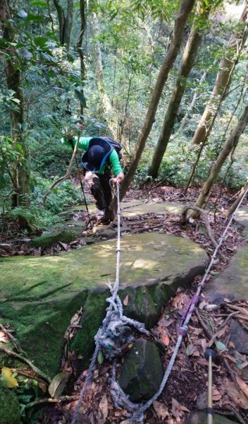 那結山（嘎色鬧部落線）893407