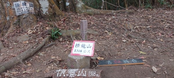 2024龍虎鳳越野2681802