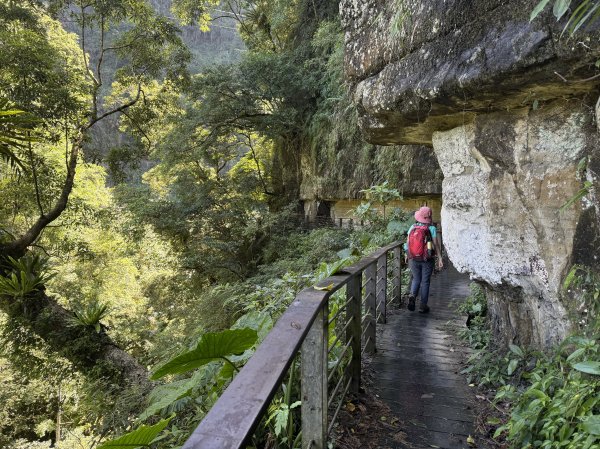 竹坑溪步道 202506282827156