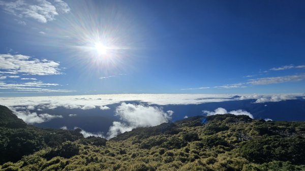 20241124-1130 南二段10座百岳2665294
