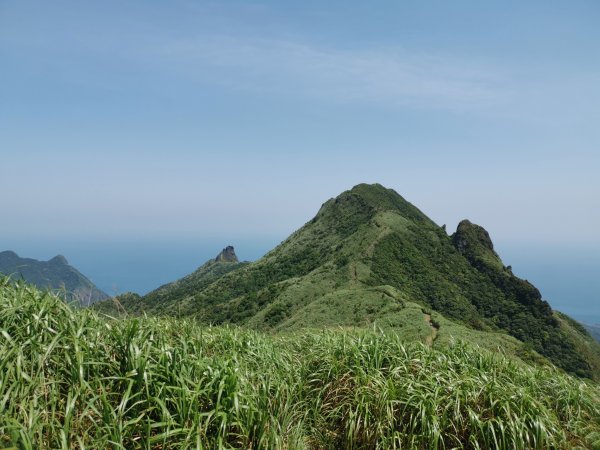 燦光寮古道O型935159