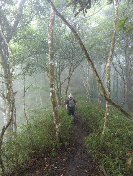 2025.07.05－高島縱走2828191