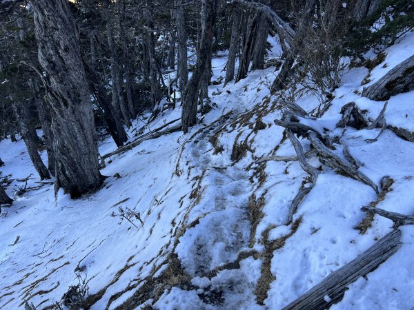 【駒盆西稜上馬博下嘆息灣D2】駒盆谷、積雪馬博拉斯山2443777