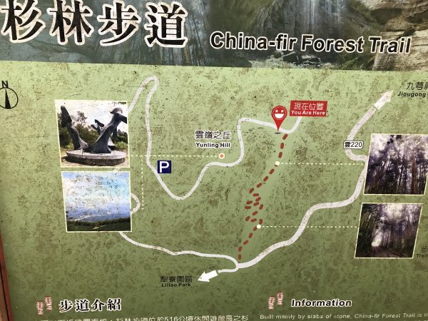 110年4月25日雲林  雲嶺之丘 五元二角 木馬古道1456562