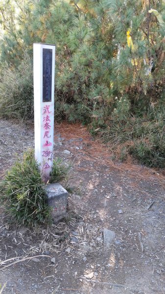 武法奈尾山1946739