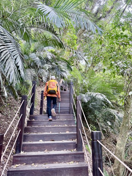 雪山坑步道悠遊順訪雪山坑山(再訪)  2025.12.32953737
