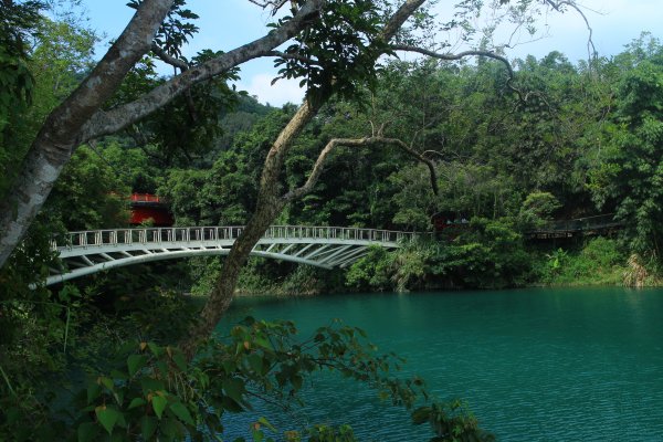 日月潭環湖步道 向山202010011159284