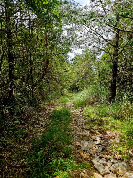 三星山-小百岳#85-宜蘭縣大同鄉2827540