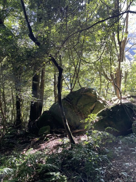 加里山隘勇線2913121