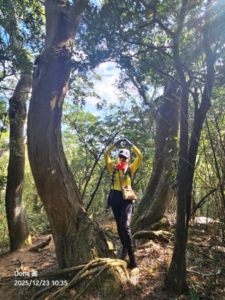 20251223芎林文林古道O走+雞寮坑山+芎林顯伯公野餐2975950