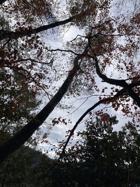 霞喀羅古道2676918