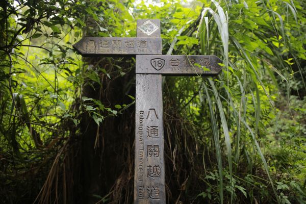 八通關越道：鹿鳴吊橋169796