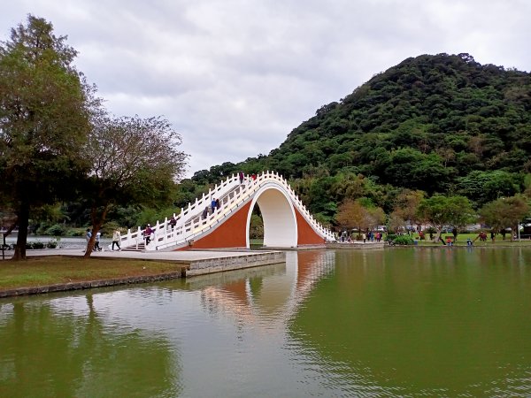 《詩情畫意的大湖公園落羽松》