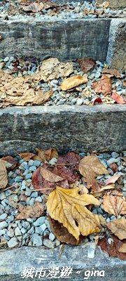 【南投魚池】後尖山步道2968297