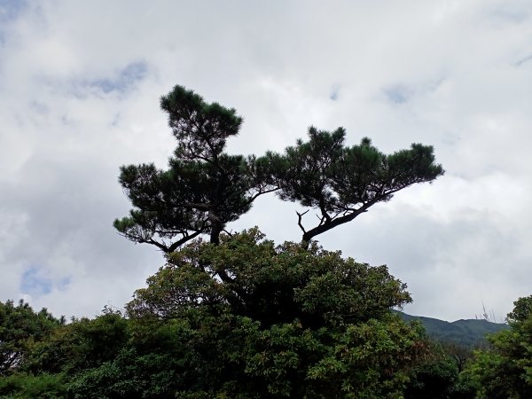 二度踏查新行程：二子坪→菜公坑山→大屯自然公園→二子坪→二子山東、西峰→二子坪;【臺北大縱走1&2】1809785