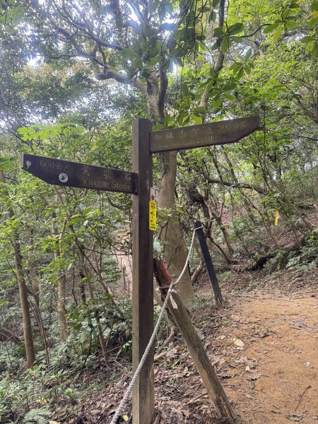 鶯歌石步道小O型路線3036052