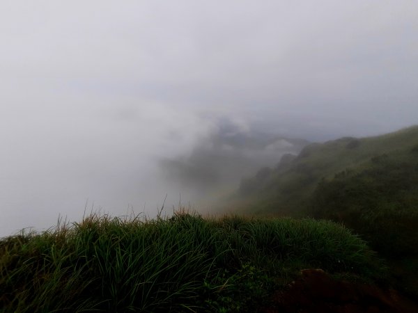 20230423 台北大縱走第三段逆行－小油坑至風櫃嘴2124840