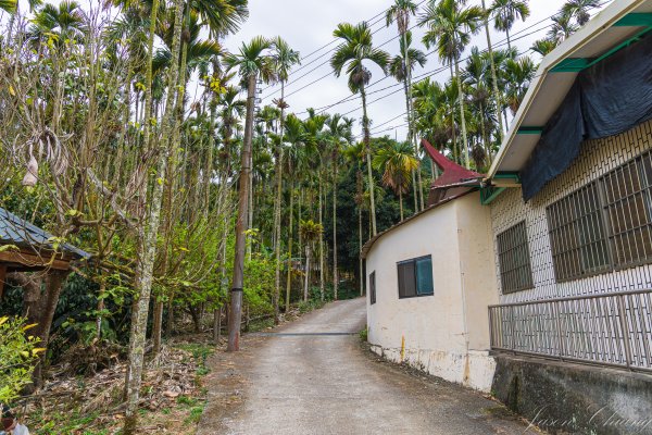 [南投]後尖山3015574