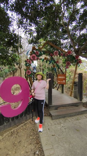 大坑9上9-1下3031315