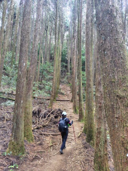 長壽山、肥崠山、醜崠山、大崠山、大崠山經建版2931555