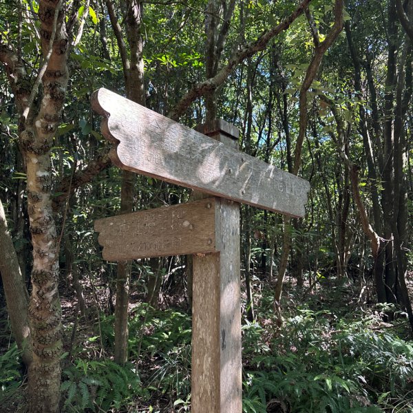 大崙頭山、大崙尾山2922656