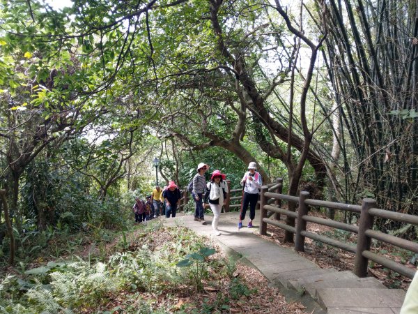 劍潭山步道1453893