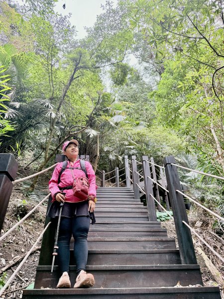 雪山坑步道悠遊順訪雪山坑山(再訪)  2025.12.32953736