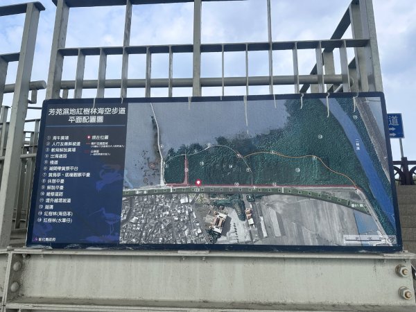 芳苑濕地紅樹林海空步道2766451