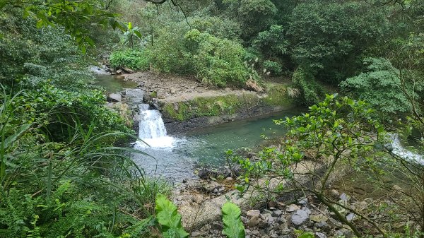 2025-01232淡蘭古道北二段(燦光寮古道到澳底)2696548